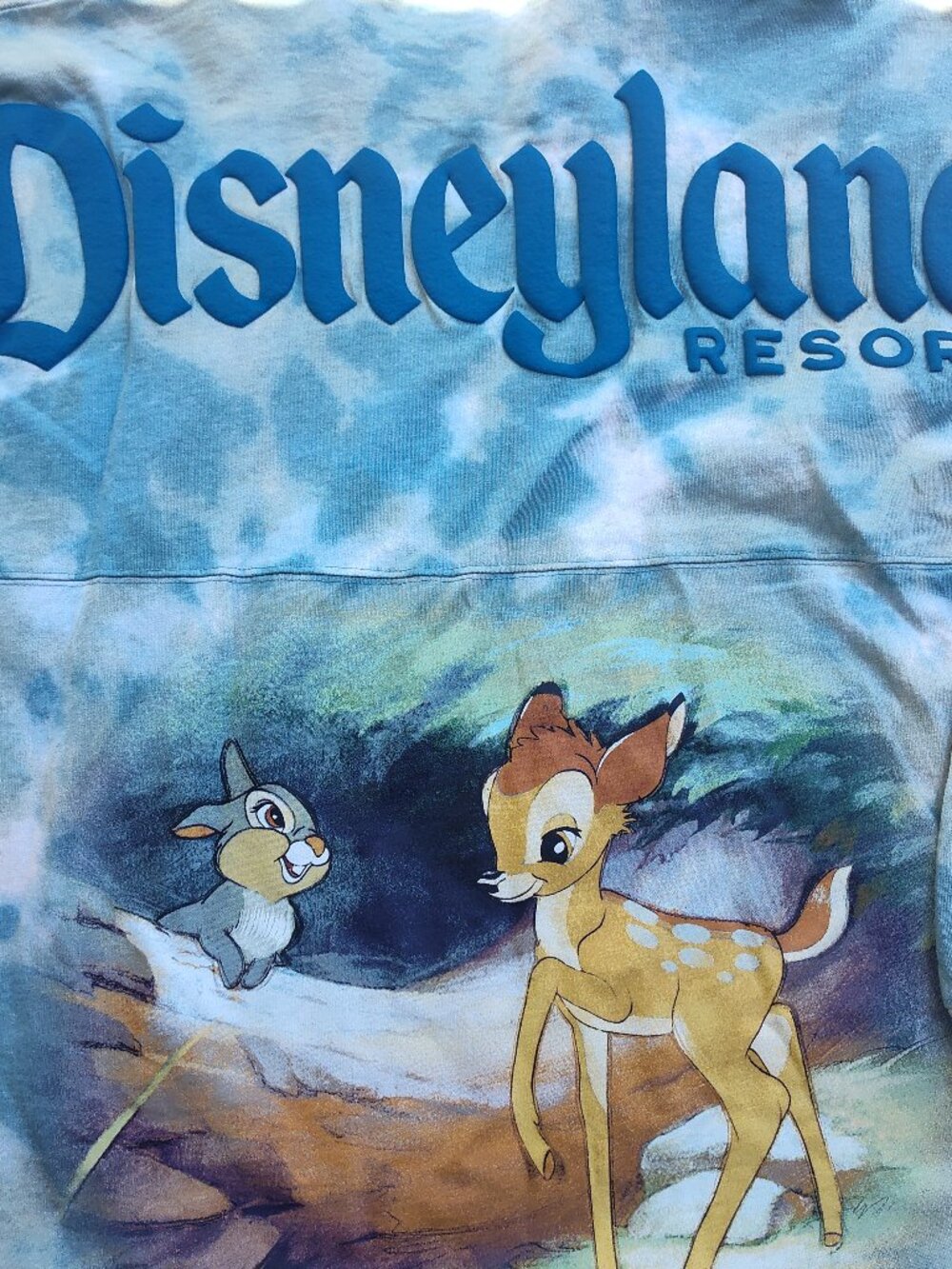 Disneyland Bambi Thumper Spirit Jersey Tie Dye Pullover M